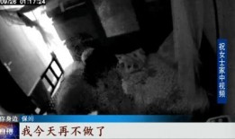 爆料保姆打老人视频,监控视频揭露惊人一幕