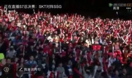 电竞中国观众爆料视频大全,揭秘赛场幕后精彩瞬间