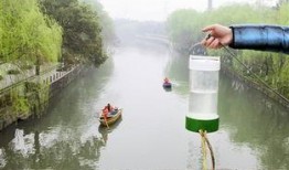 治水最新爆料消息,揭秘最新爆料背后的治水战略升级