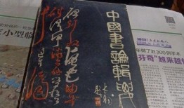 美少女探店爆料视频大全,热门美食打卡地大盘点