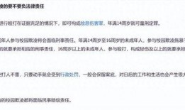 东湖爆料霸凌案件最新进展,受害者家长发声，警方介入调查深入调查