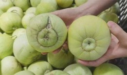 甜瓜大爆料十集视频,十集视频揭秘幕后真相