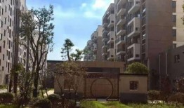 小六最新爆料视频网页,精彩瞬间不容错过