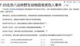 游客视频爆料文案范文怎么写,揭秘热门景点背后的真实面貌