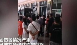 西江中学爆料事件视频曝光,真相揭开，引发社会关注