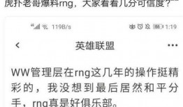 网友爆料rng转会视频,网友爆料视频深度解析