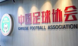 足协酒局爆料视频,视频揭秘权力与利益的交织