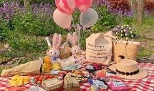 野餐兔网红吃瓜图片真实,揭秘美食与娱乐的完美融合