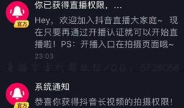 抖音怎么快速爆料视频教程,轻松掌握爆料技巧