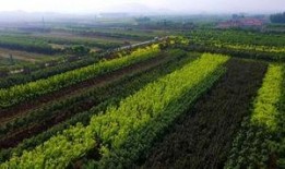 遵化吧最新爆料,揭秘重大事件背后真相！