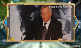 北溪爆料记者事件真相视频,揭秘幕后黑手与真相大白