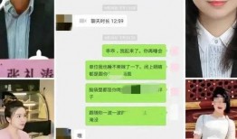 张津瑜吃瓜免费网站,热门话题背后的真相与争议