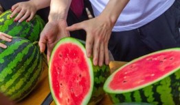 大瓜免费吃,尽在大瓜免费吃！