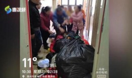 杨女士最新爆料,揭秘娱乐圈惊人内幕！