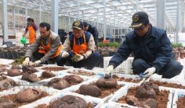 钟山县新闻热线爆料,惊现神秘事件，真相即将揭晓！