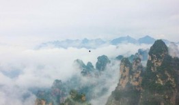 张家界吃瓜爆料事件视频,视频揭秘事件背后真相