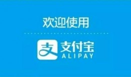 湛江交通新闻最新爆料,最新爆料揭示重大交通变革