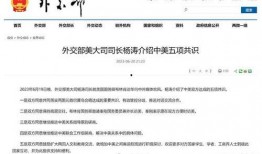 杨涛最新爆料新闻,揭秘娱乐圈惊人内幕