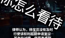 四川爆料热点新闻最新视频,视频揭露惊人事件，详情令人震惊！