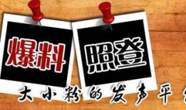 仙桥今日新闻爆料,最新新闻事件揭秘！