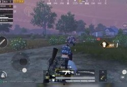 精英僵尸爆料攻略大全最新,全面解析，轻松通关攻略揭秘