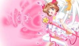 小樱最新爆料图片壁纸高清