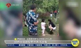 赣县爆料小孩被打视频,幼童被打事件引发社会关注