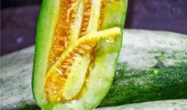 吃网红瓜心里难受,吃瓜群众的心里难受