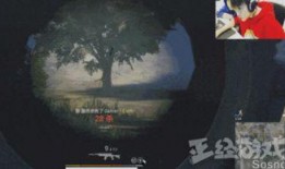阿哲爆料吃鸡开挂视频,吃鸡开挂视频曝光，真相令人震惊！