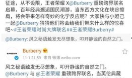 巴宝莉皮肤爆料视频大全,揭秘时尚界的神秘面纱