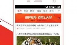 最新爆料娱乐八卦头条,神秘事件引发热议，明星隐私再掀波澜！