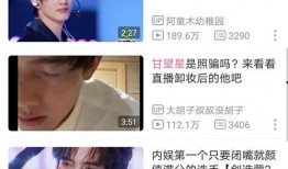 刘宇宁网红爆料视频,揭秘娱乐圈幕后真相