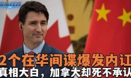 最新爆料的间谍是谁啊,神秘人物引发全球关注