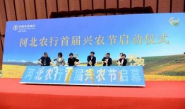 衡水新闻昨天爆料了视频,揭秘事件背后真相