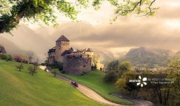 威廉古堡爆料视频大全下载,独家爆料视频大全下载全解析