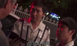 DA师在线观看,揭秘神秘特工的惊险旅程