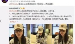 文安女士爆料新闻视频,揭秘新闻视频背后真相
