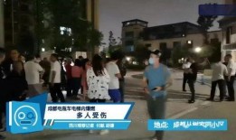 豫东兵嫂被爆料视频,揭开军嫂背后的辛酸与无奈