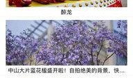 中山爆料热点新闻最新,最新爆料揭示惊人真相，民众热议！