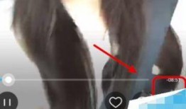 小李爆料刘辣椒视频回放,小李爆料背后的真相揭晓